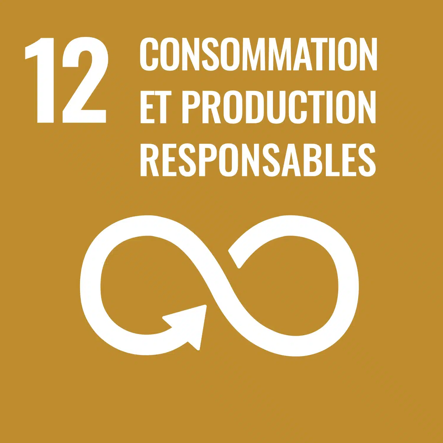 Icône de l’ODD 12 – Consommation et production responsables des Nations Unies.