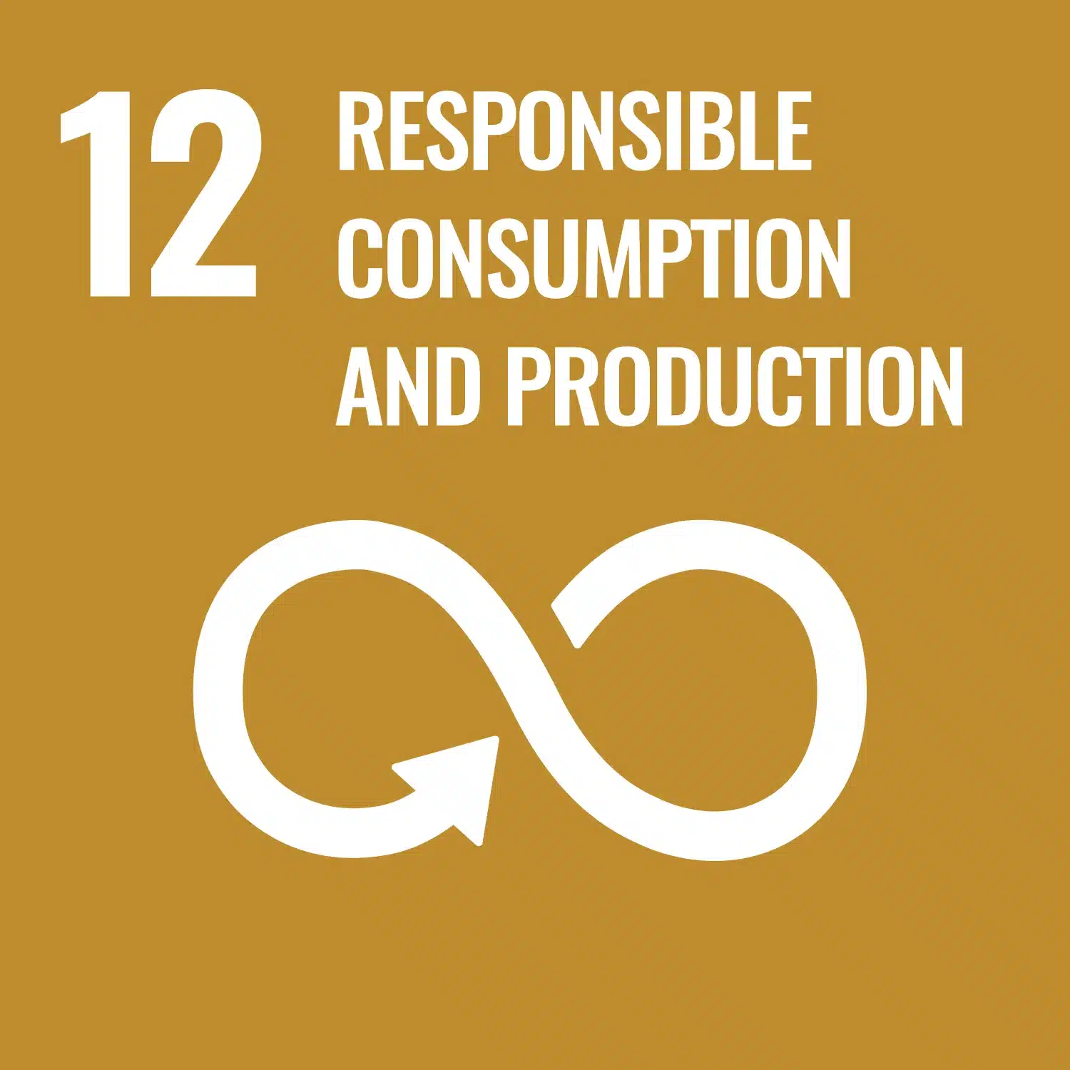 Icon of UN Sustainable Development Goal 12 – Responsible Consumption and Production.